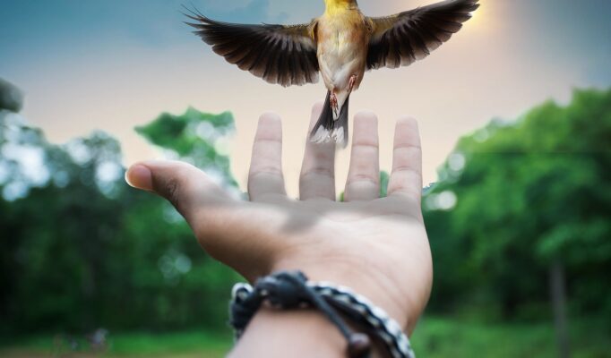 creative-2801970_1280